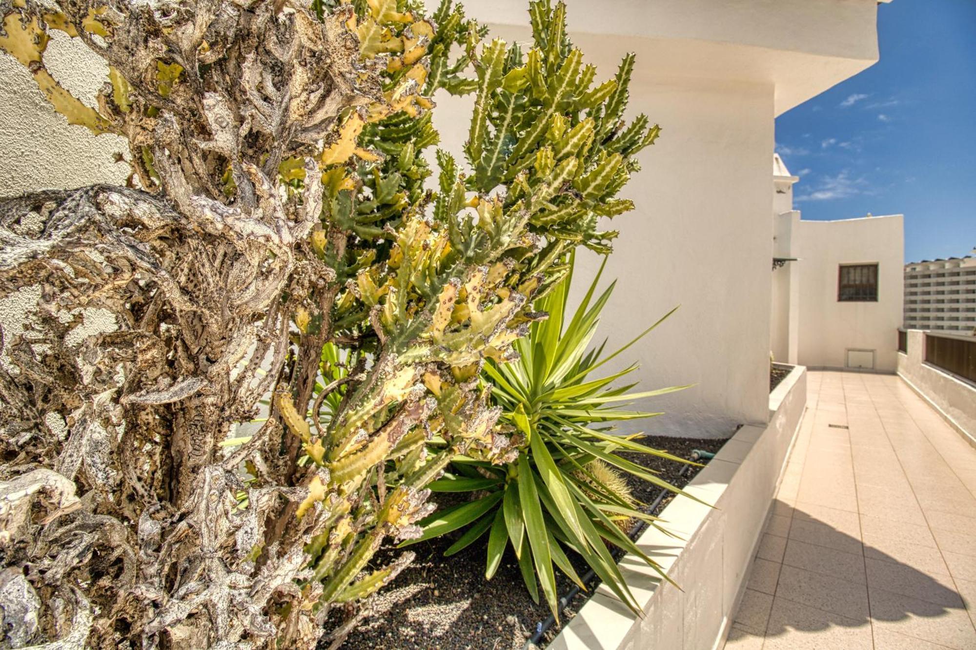 Penthouse Sea View Jacuzzy Terrace & Pool Playa Fanabe Exterior foto